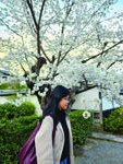 Dokumentasi klien Ichigo Tour di Jepang